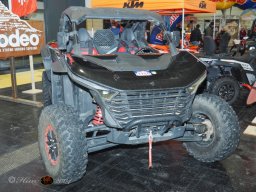 Vienna Drive 15.01.2026